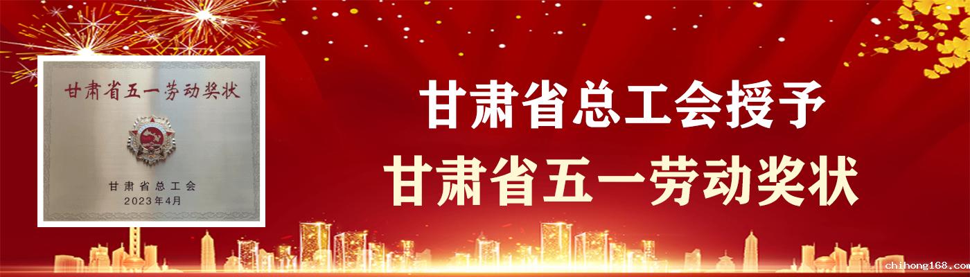 甘肃省总工会授予“甘肃省五一劳动奖状”